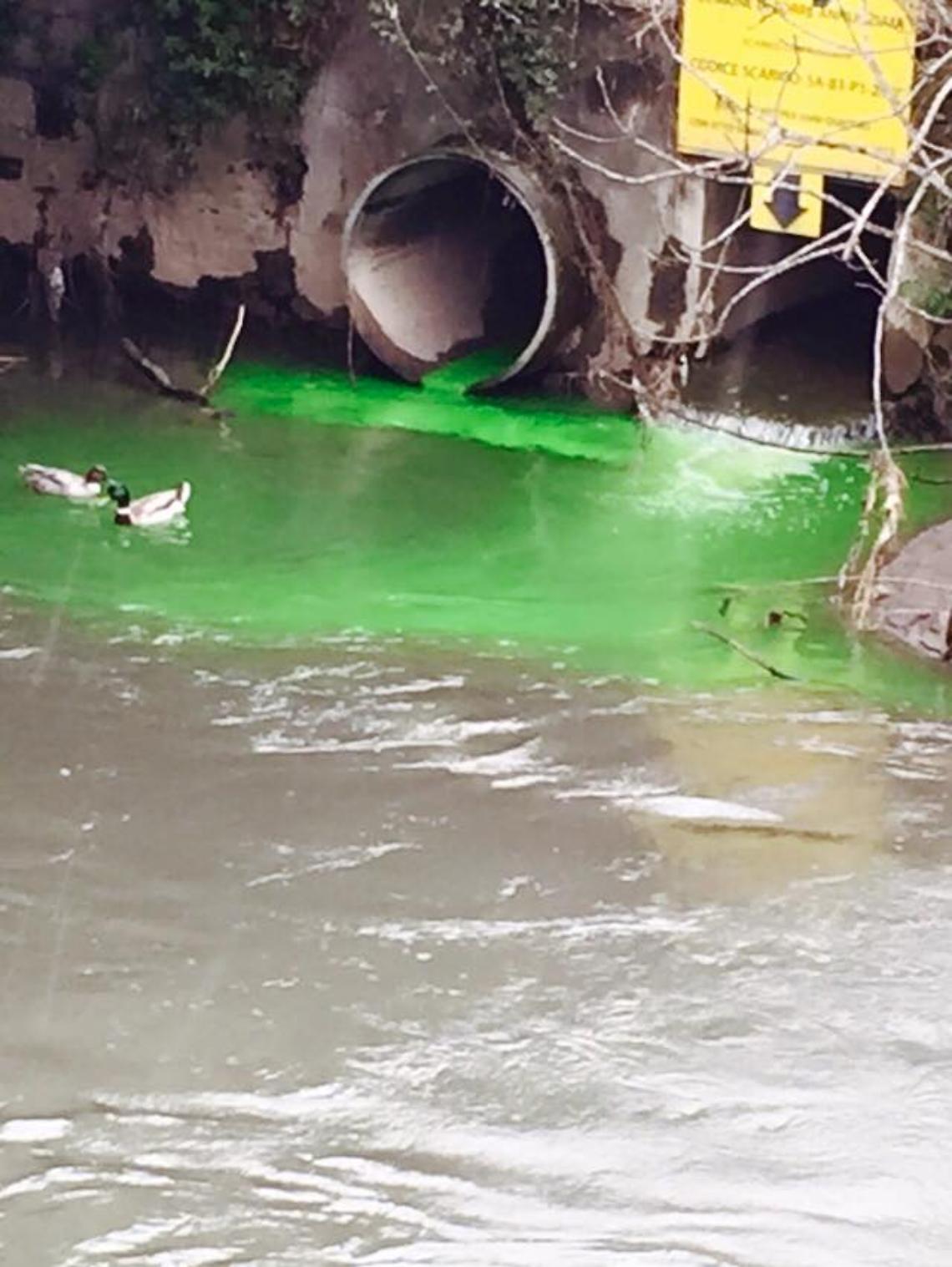Fiume Sarno, alla foce il mare si colora di verde fluorescente