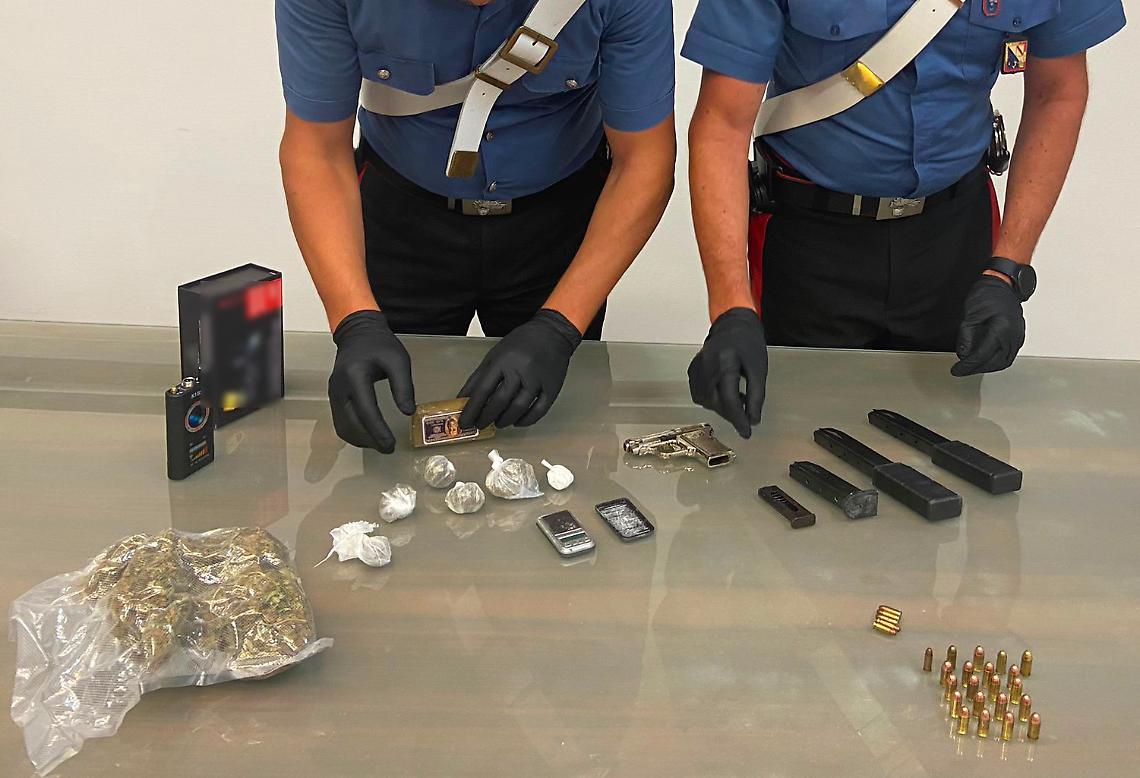 Piantagione di cannabis con oltre 250 fusti sequestrata dai carabinieri