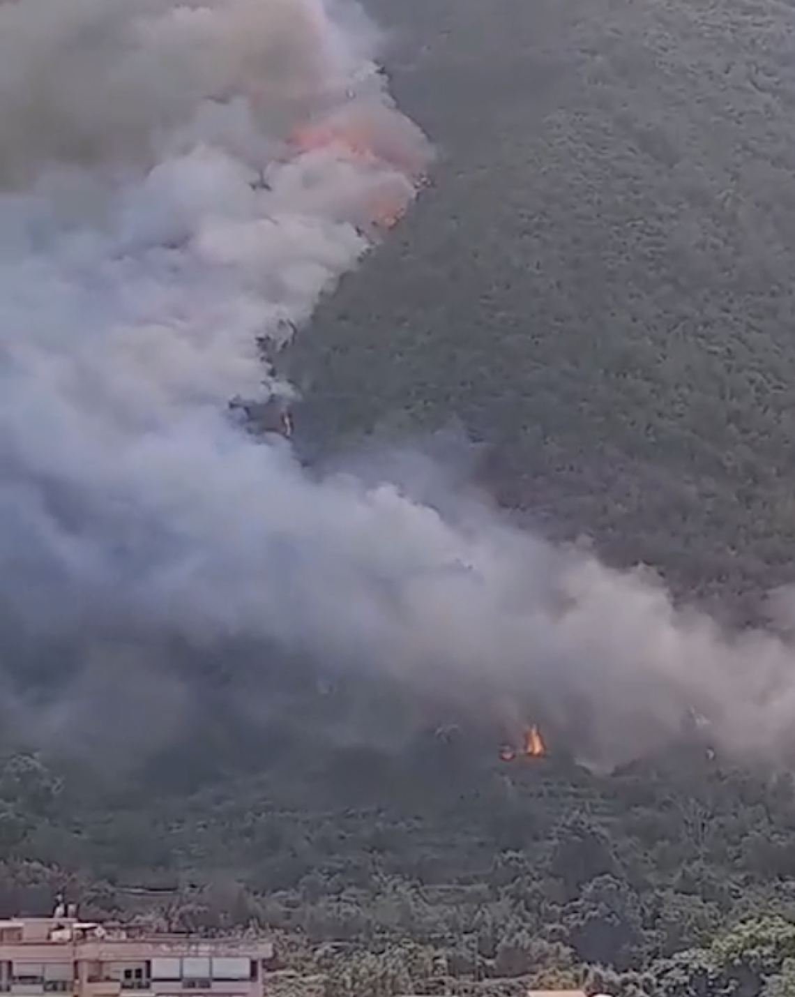 Rogo nel Parco del Vesuvio, circoscritto l'incendio tra Gragnano e Pimonte