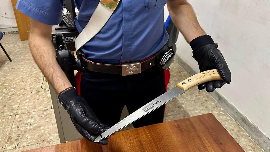 Tenta di accoltellare la madre, 30enne arrestato