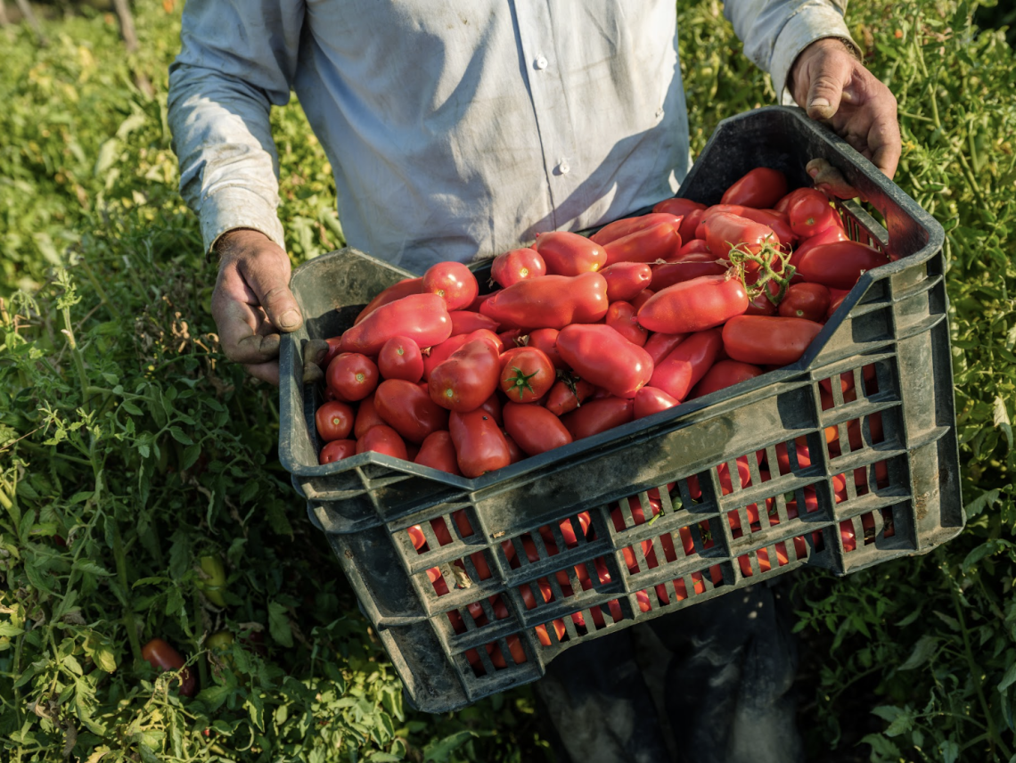 Festa di fine campagna, Casa Marrazzo celebra il raccolto