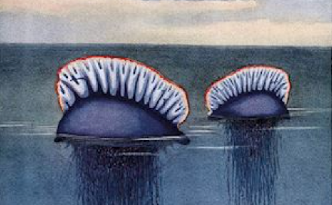 Alla ricerca dell’amore perduto