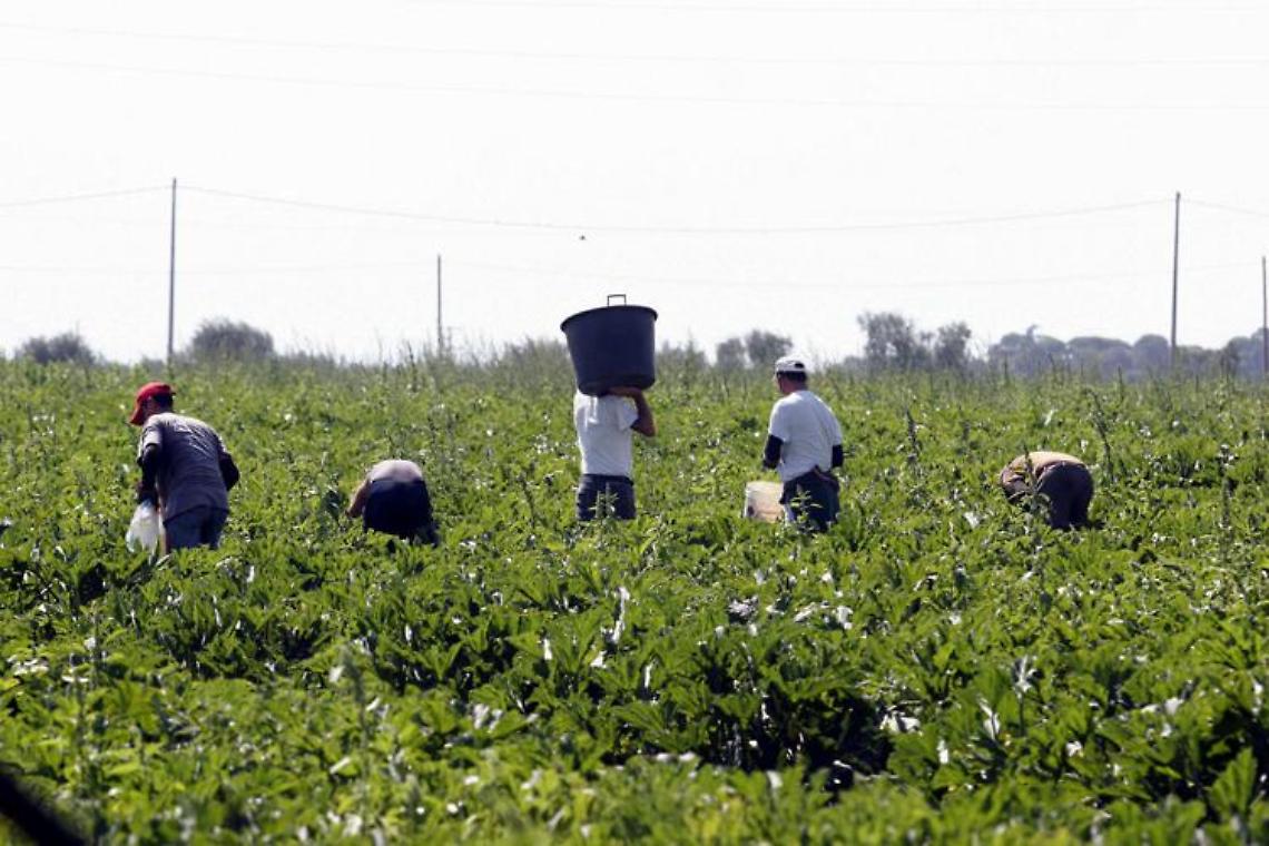 Immigrazione, sfruttamento e nuovo modello di sviluppo