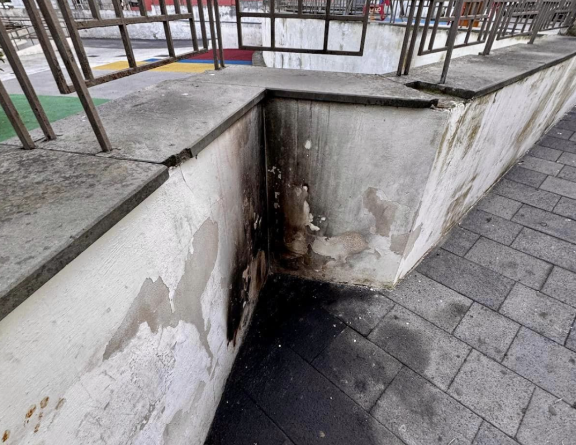 Gatto bruciato vivo in piazzetta, choc nel Napoletano