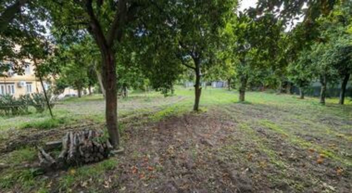 Ripartono gli orti urbani a Capodimonte