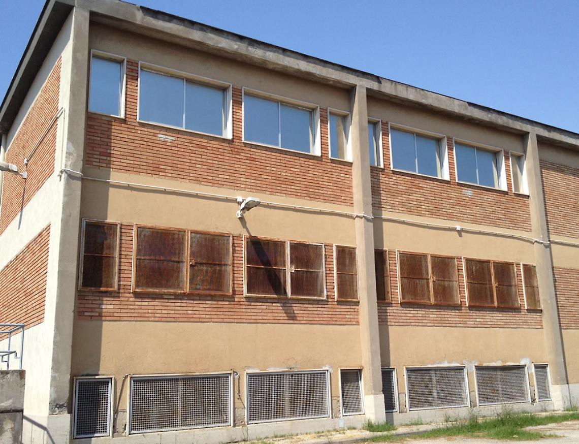 Un caso di scabbia a scuola, scatta l'allarme