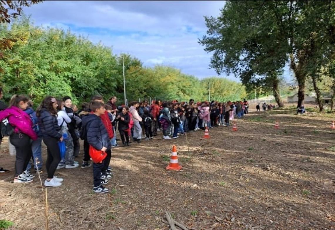 Le scuole dell’area flegrea per la  Giornata nazionale degli Alberi