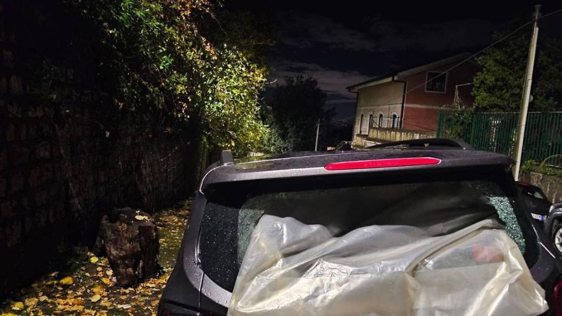 Salita Quisisana, crolla un albero, Sos di Fratelli d'Italia