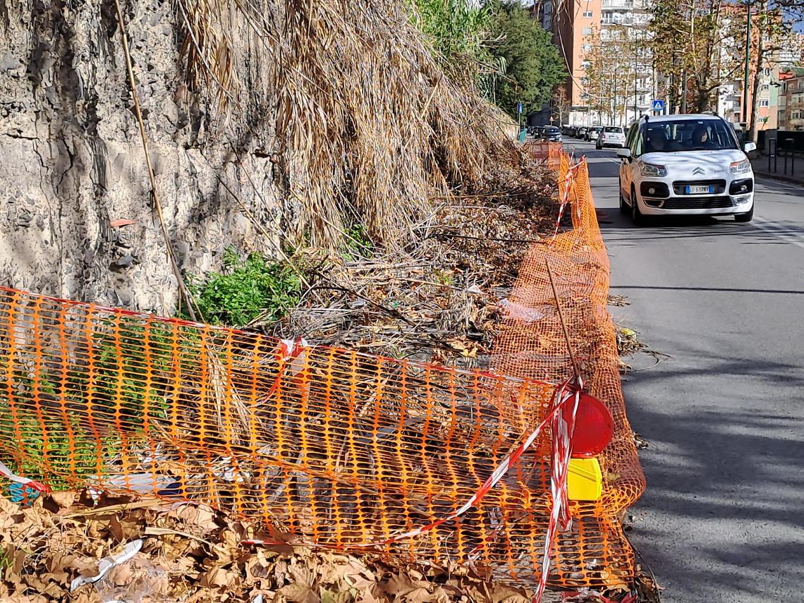 Un canneto secco e ingombrante da tre mesi blocca la strada