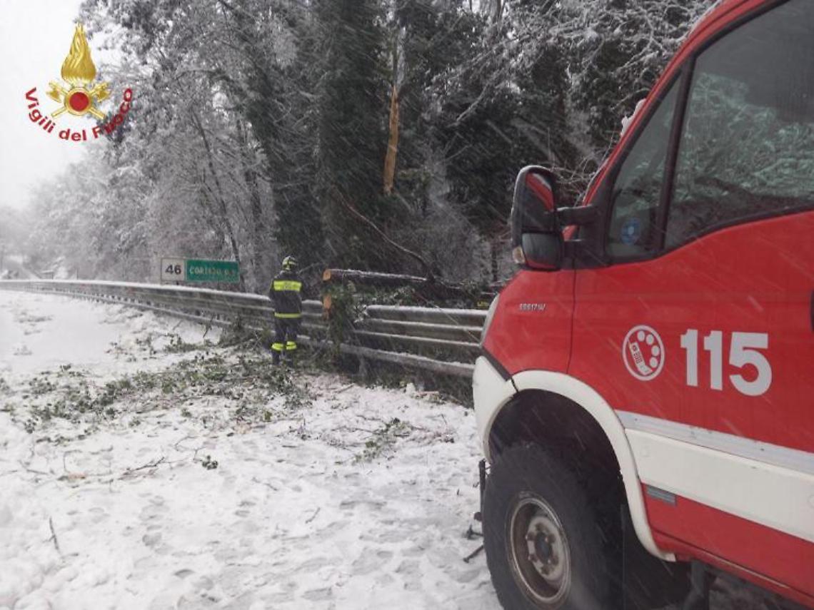 Maltempo al Centro-Sud, operaio muore travolto da albero in strada
