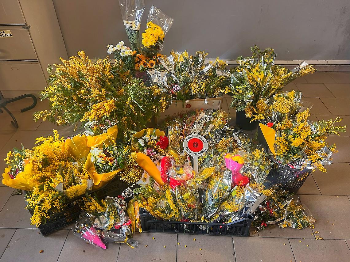 Festa della donna, sequestrati oltre 2.500 fasci di mimose