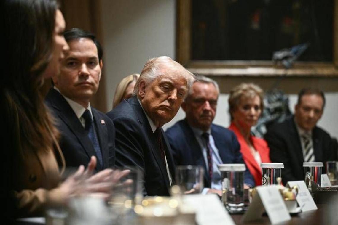Ucraina, Trump: «Parliamo di centrale di Zaporizhzhia, presto accordo per terre rare»