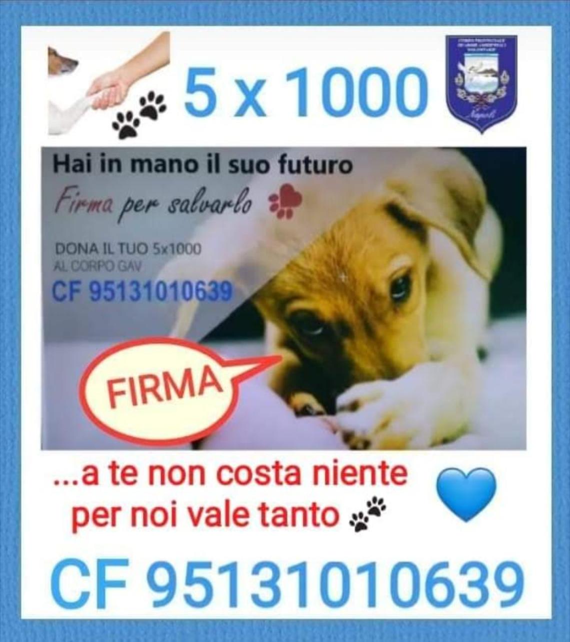 Il “Corpo Gav” invita a destinare il 5x1000 in favore degli amici a 4 zampe