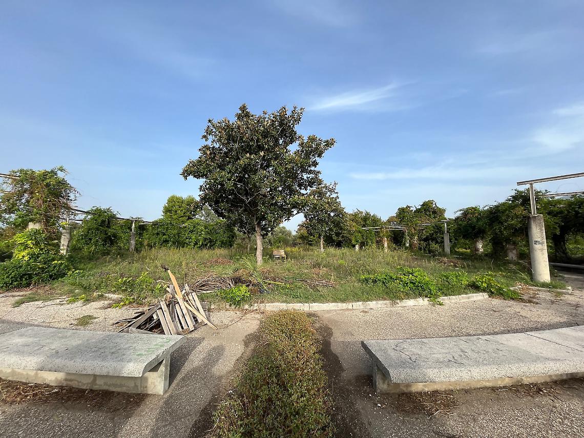 Nasce nel quartiere Ponticelli l'Orto urbano più grande d'Europa