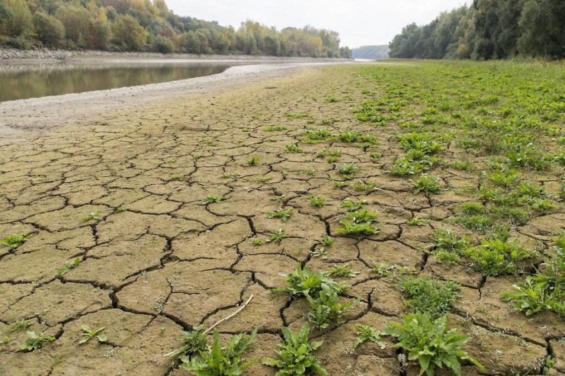 Siccità sotto controllo con gli invasi e i consorzi di bonifica