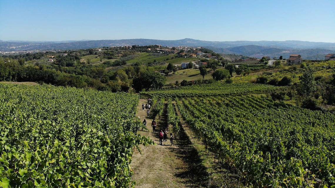 Fiano Love Fest, al centro l’Intelligenza Agricola