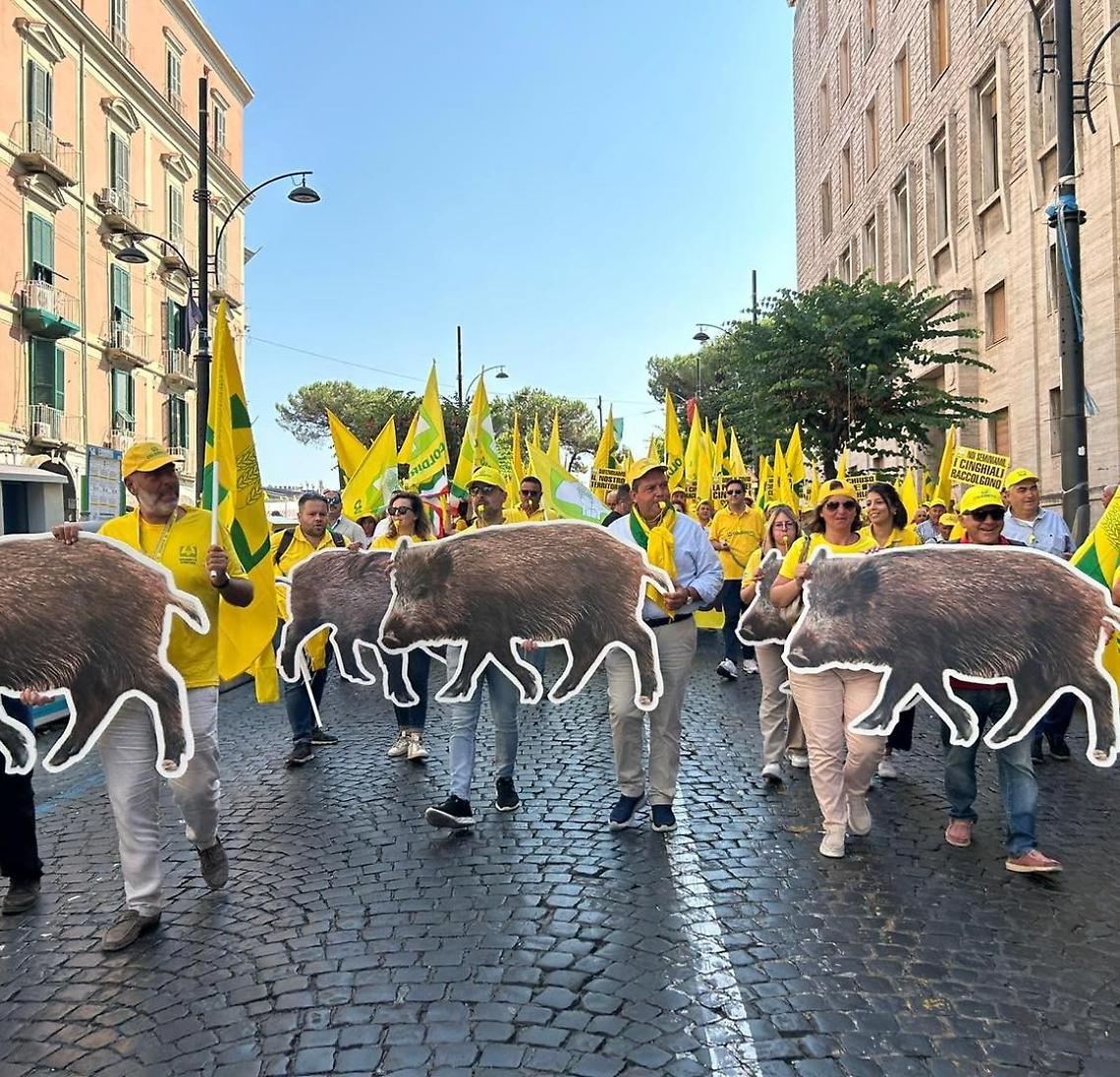 Emergenza cinghiali, arrivano i cacciatori abilitati