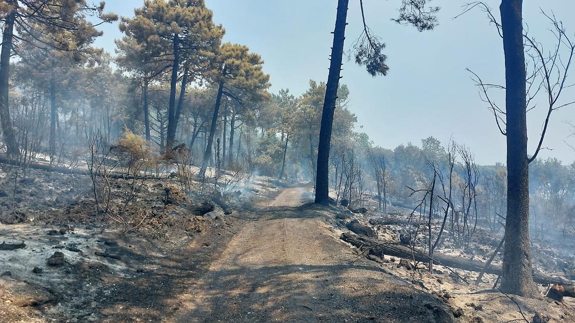 Vesuvio, ancora al lavoro per spegnere fiamme
