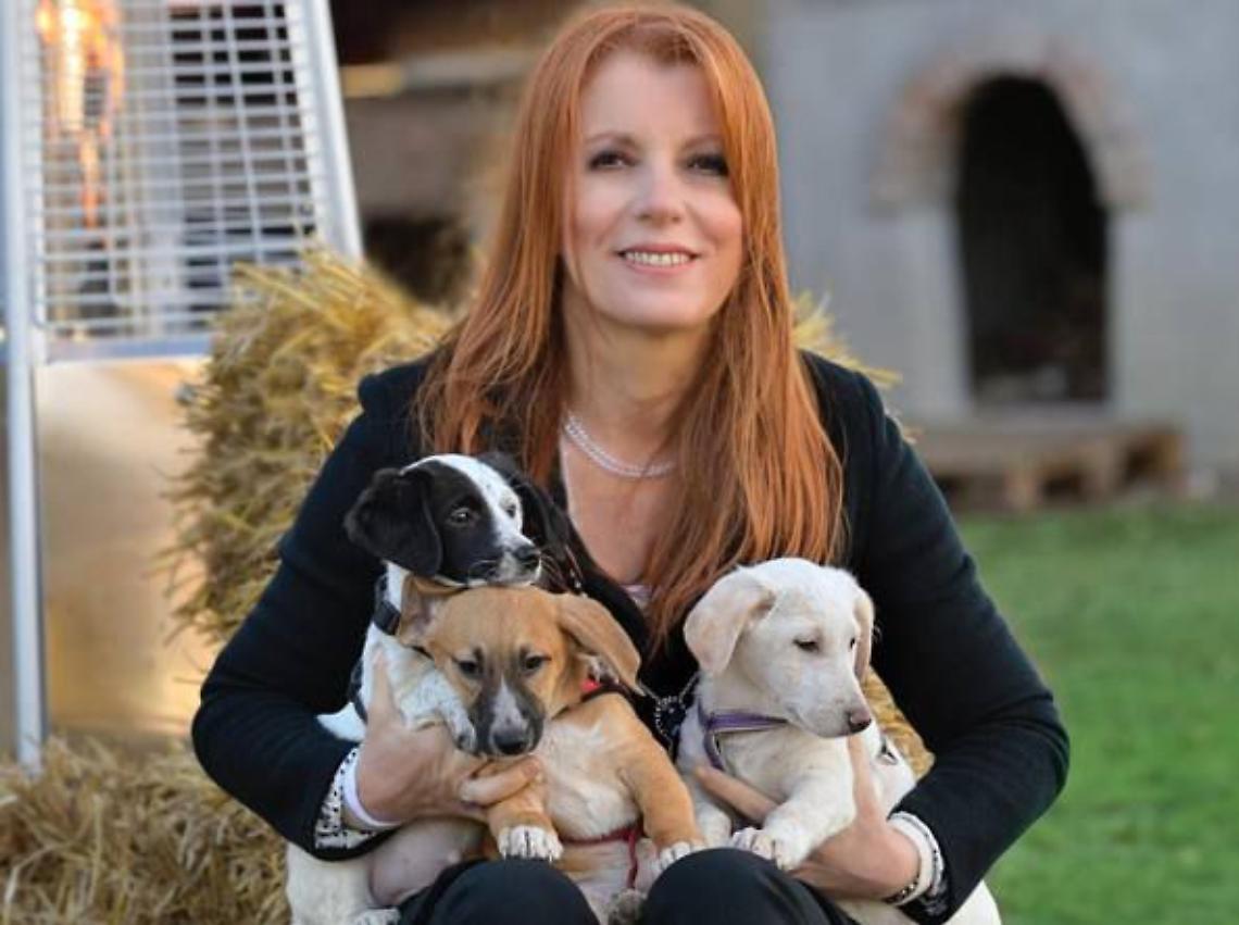 Brambilla: «Abbandonare un animale è una crudeltà. Con la nuova legge diventa impensabile»