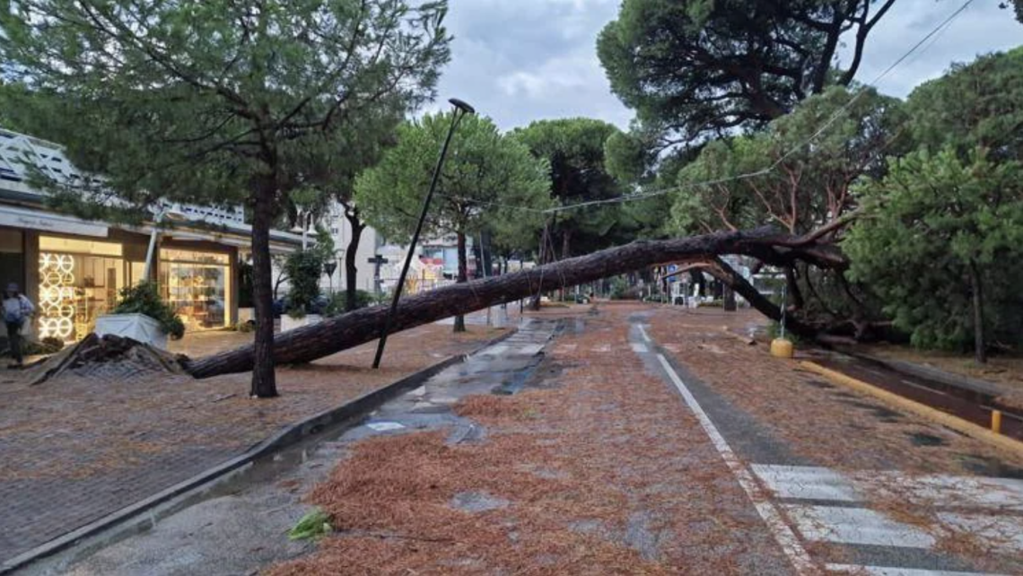 Violentissimo nubifragio sulla Romagna, allagamenti e alberi caduti