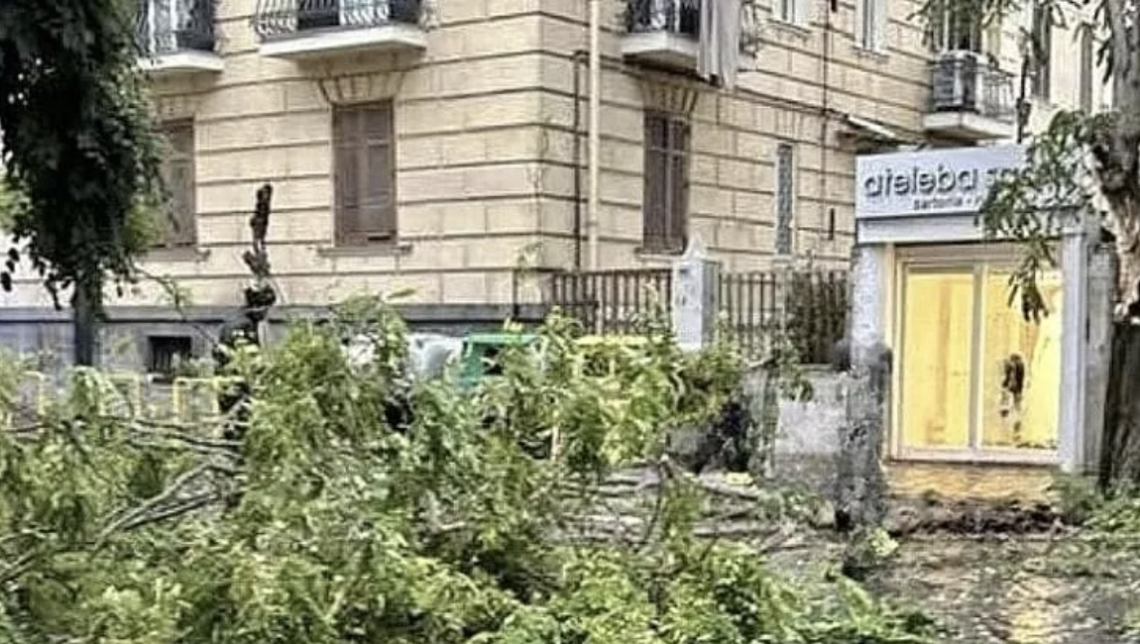 Nei vicoli del Vomero perdura la crisi del verde pubblico