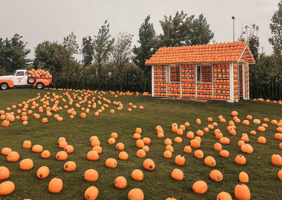 Pignataro Maggiore, torna il Giardino delle Zucche più grande d'Europa