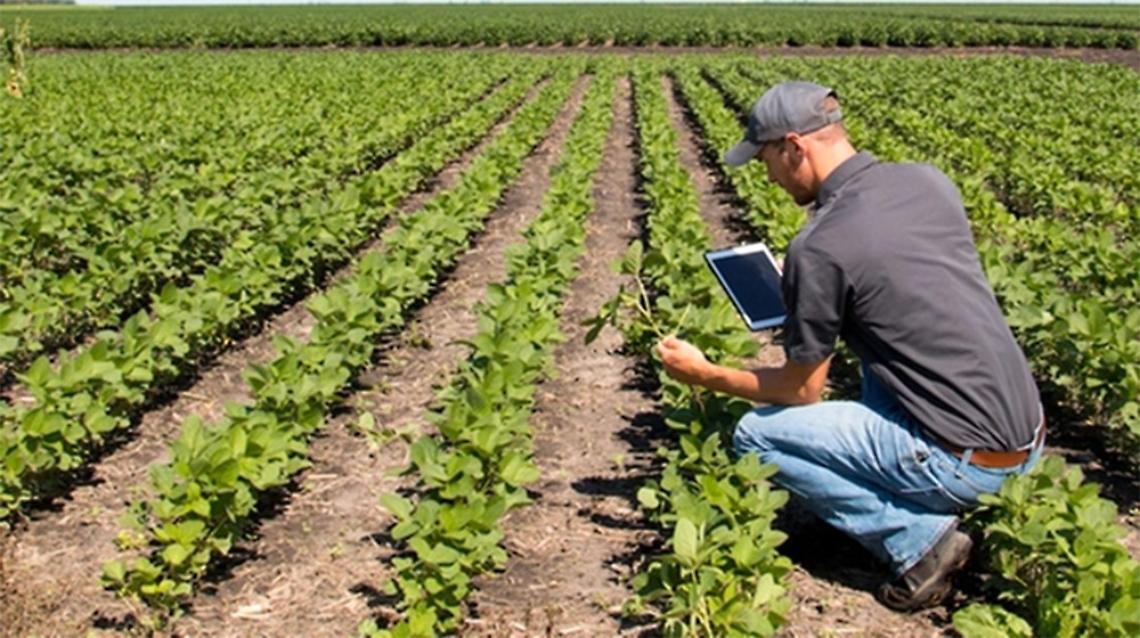Arriva la legge regionale sulle Fattorie sociali e l'Agricoltura sociale