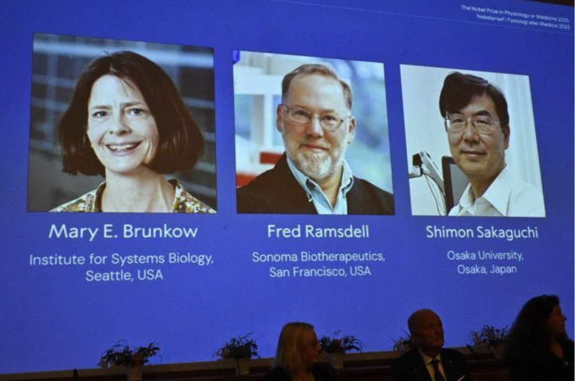 Nobel per la Medicina a Brunkow, Ramsdell e Sakaguchi: hanno scoperto la “security" del sistema immunitario
