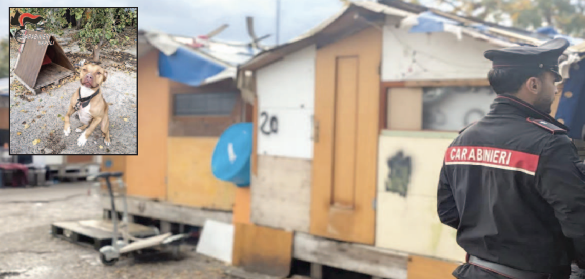 Droni sospetti, blitz nel campo rom