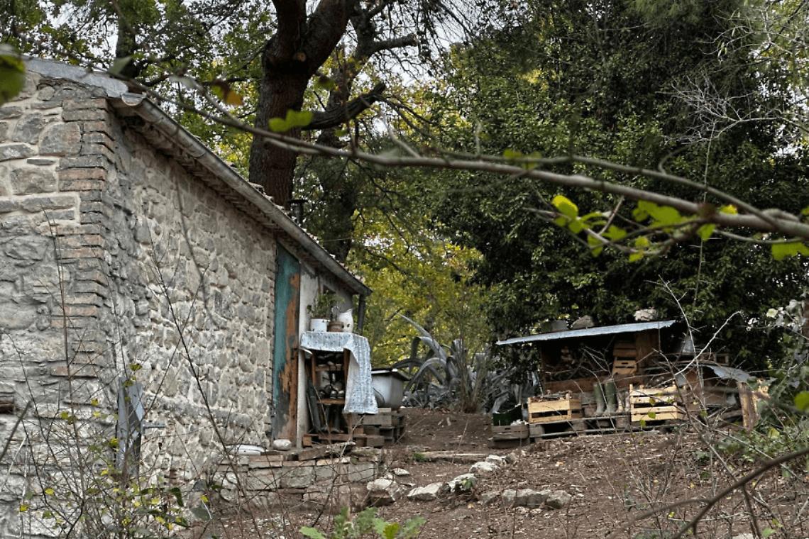 La “famiglia nel bosco”: sfida tra natura e Stato?