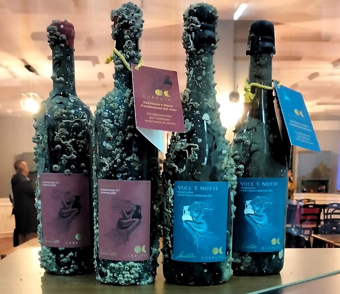 Tra fuoco e profondità: il viaggio marino dei vini Carputo