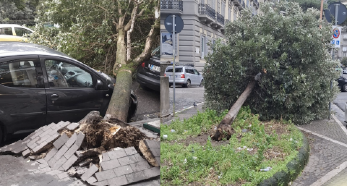 Vento e pioggia, crollano due alberi al Vomero