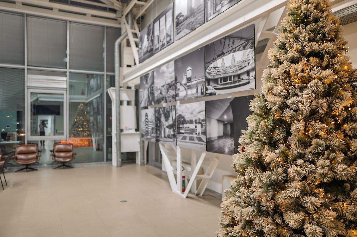 L’Ordine degli Architetti di Napoli lancia l’iniziativa “L’Albero Solidale”