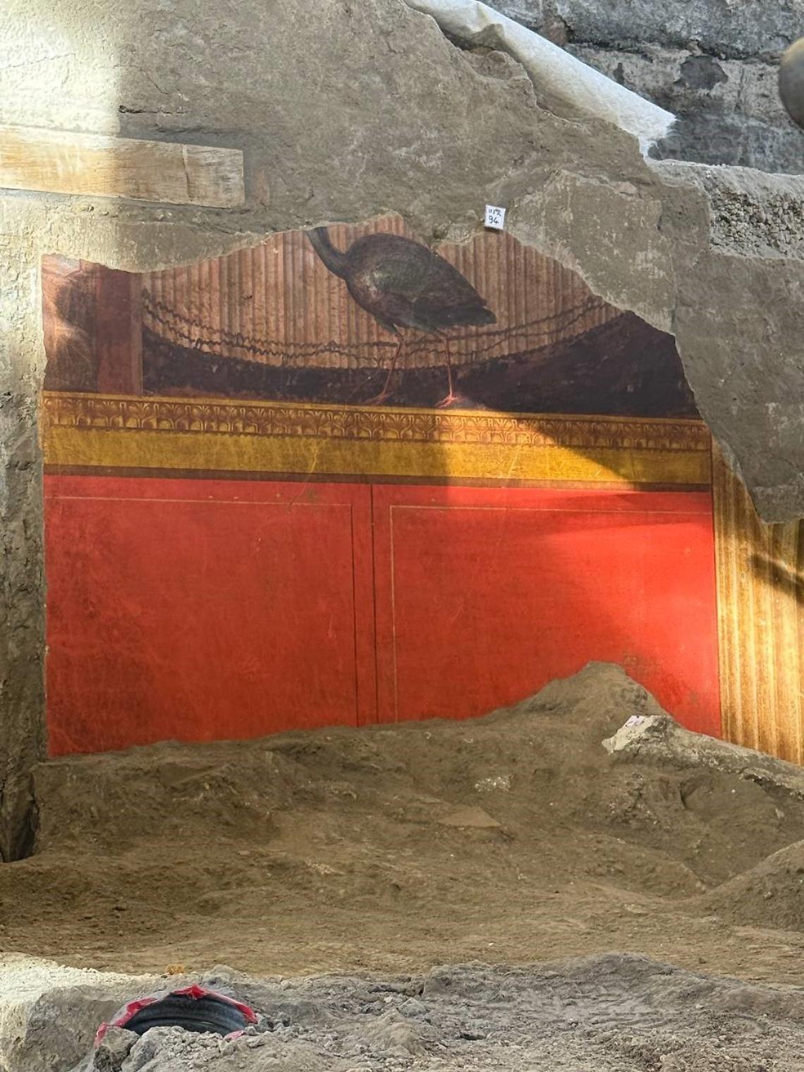 Oplontis, nuovi scorci di affreschi dal cantiere di scavo della Villa di Poppea