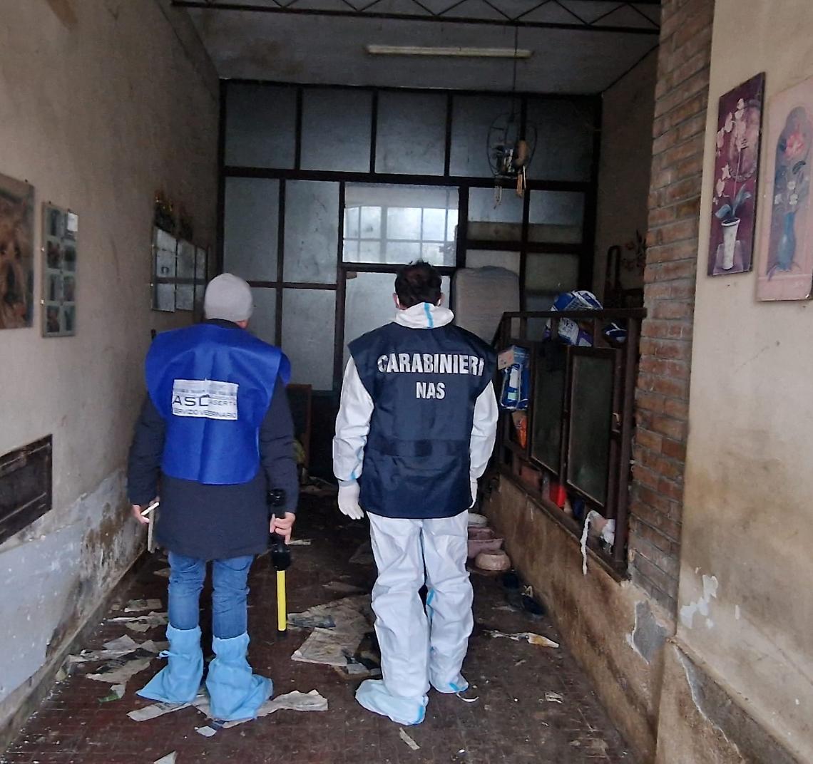 Canile lager, salvati 45 cani e 10 gatti