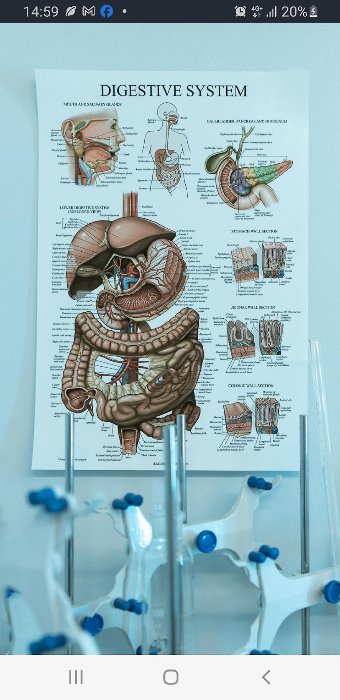 Epatite C, insufficienti i test per individuare l&rsquo;infezione asintomatica