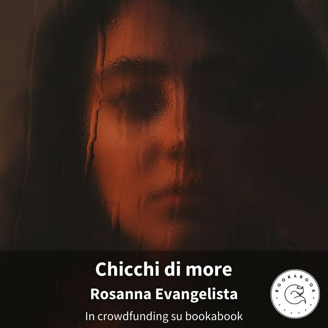 &ldquo;Chicchi di more&rdquo;, il nuovo romanzo di Rosanna Evangelista