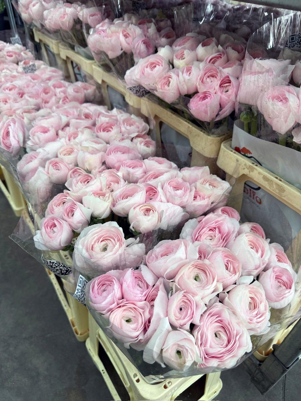 Tutti pazzi per i ranuncoli