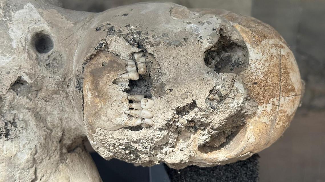 &laquo;Pompei non sar&agrave; mai un "divertimento", qui la tragedia &egrave; diventata cultura&raquo;