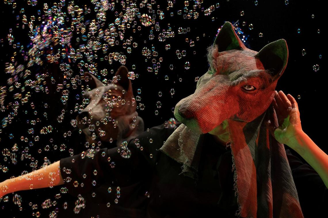 Castellammare di Stabia Rosaluna e i lupi: una favola sul coraggio di essere liberi