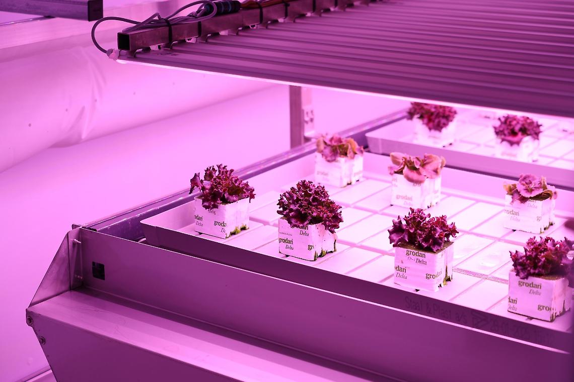 Agritech, inaugurato Dimostratore Arca a Napoli