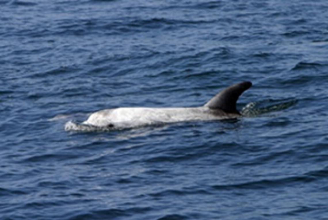 Da Sessa Aurunca a Sapri la grande rivincita del mare