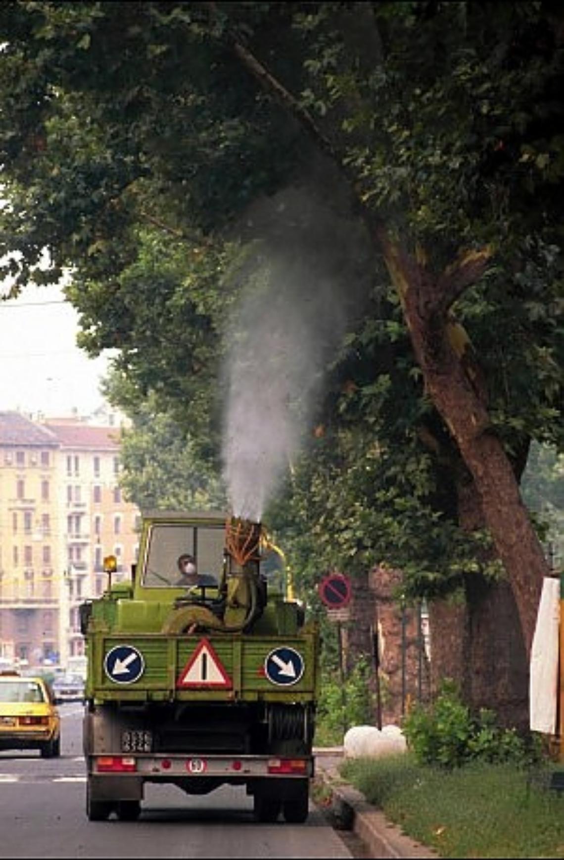 Topi, zanzare e blatte, stasera disinfestazione dell'Asl a Qualiano