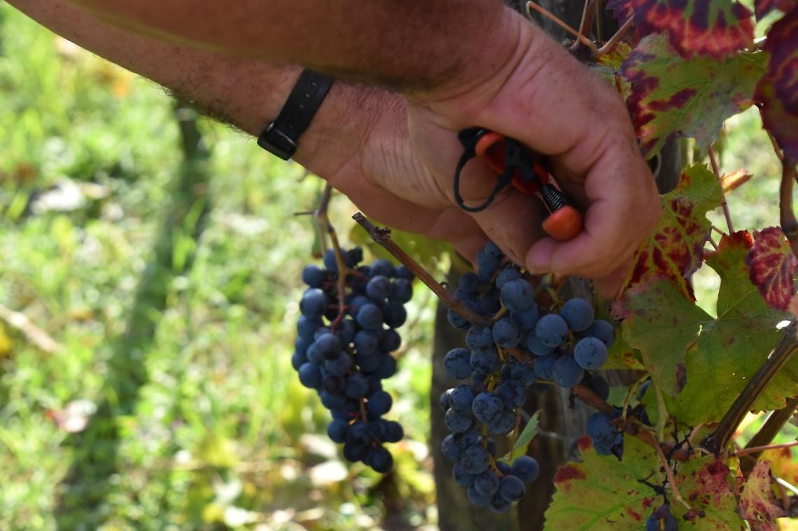 Finire a tarallucci e vino con gli d&egrave;i &egrave; cosa buona