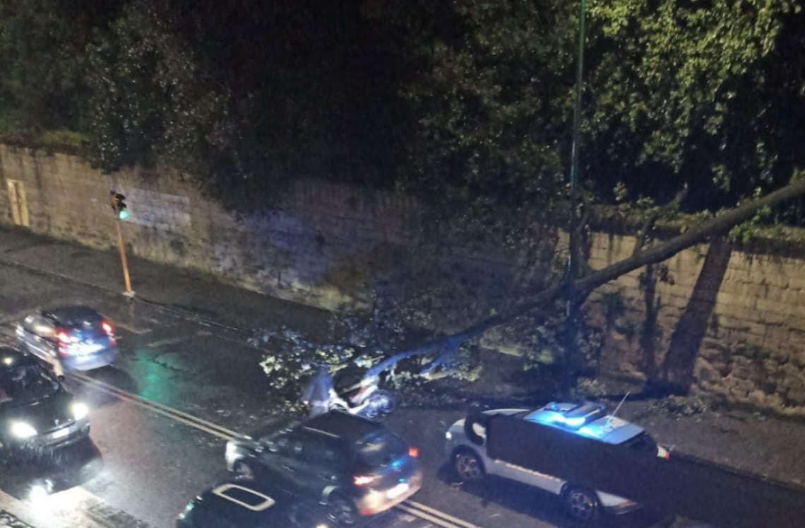 Bosco di Capodimonte, albero crolla e investe centauro: ferito