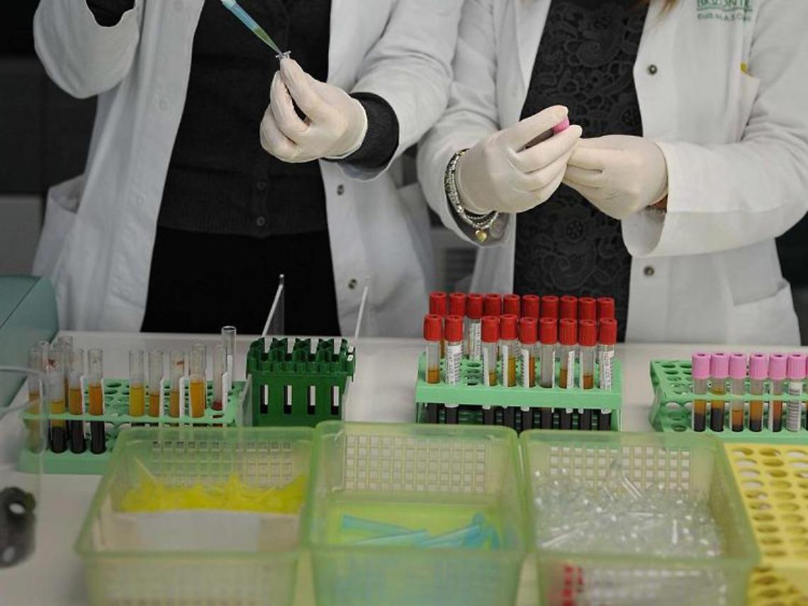 Variante nigeriana Covid scoperta a Brescia, virus isolato