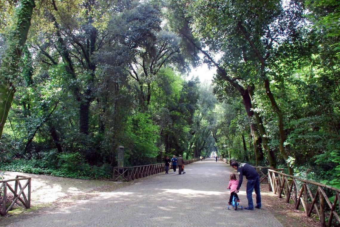 Bosco di Capodimonte, si lavora per la riapertura. "Tempi non ancora quantificabili"