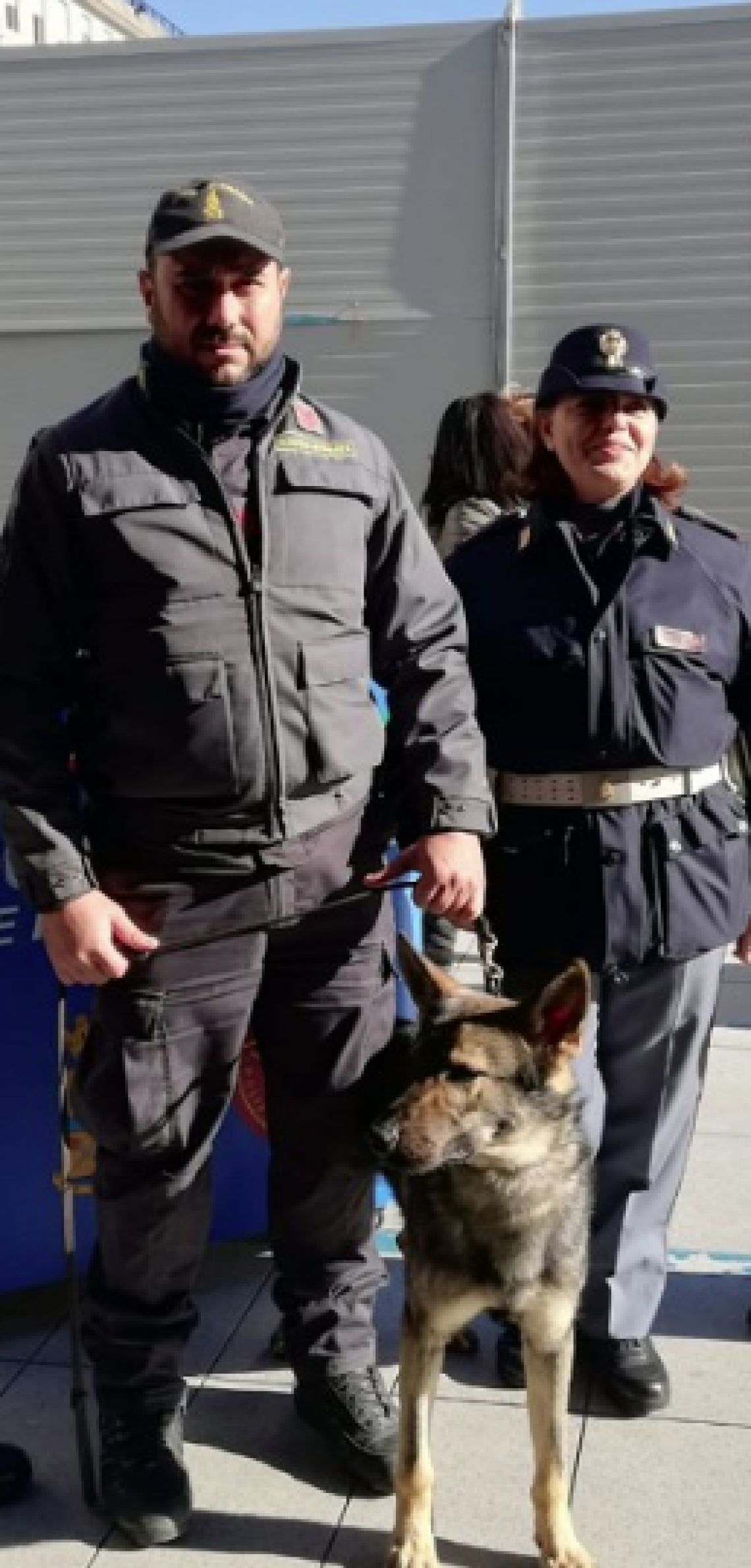 Stazioni sicure, cane antidroga trova hashish e metadone a Napoli VIDEO