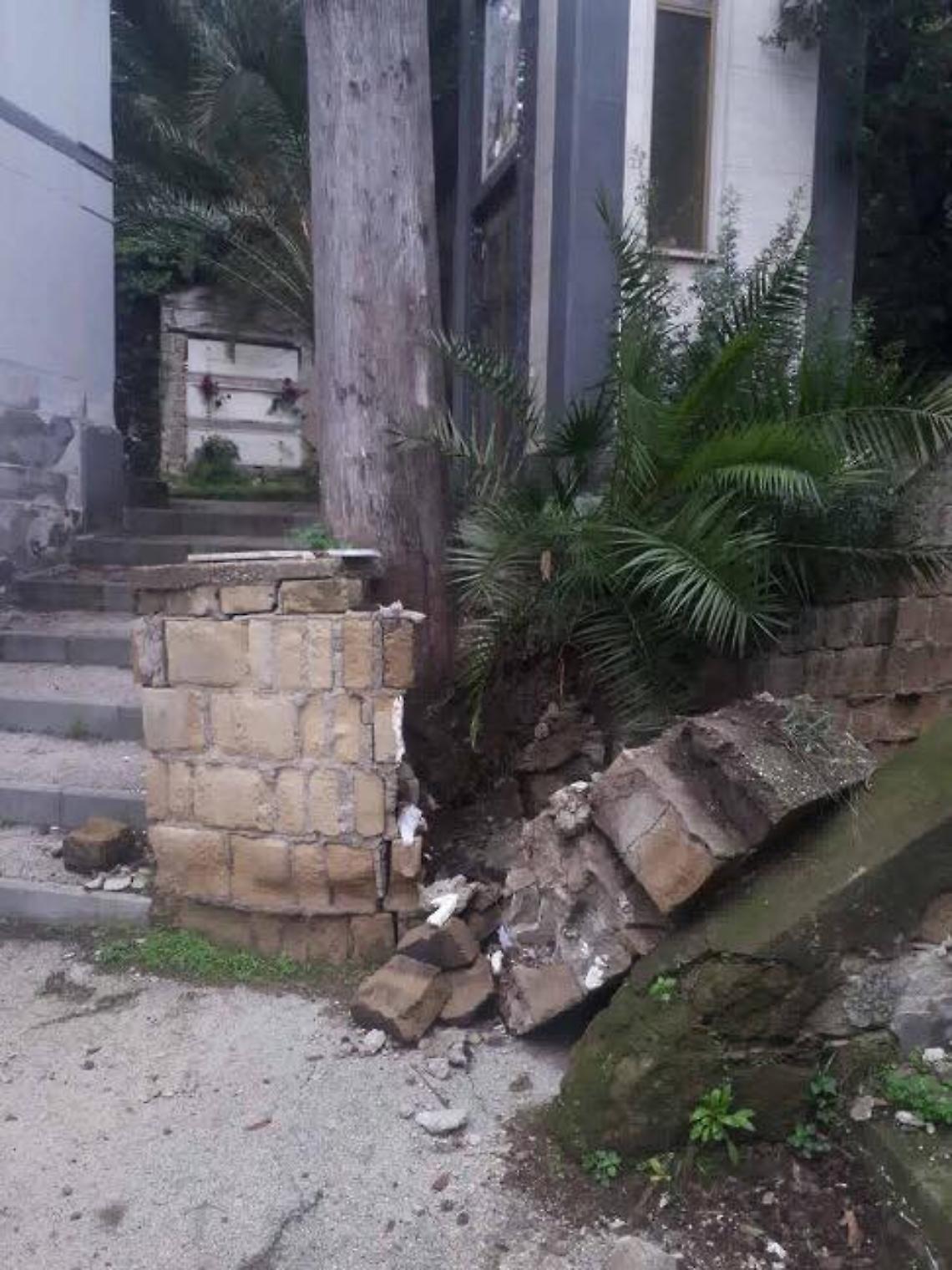 Cimitero di Poggioreale, crolla muretto di cinta: pino secolare a rischio caduta