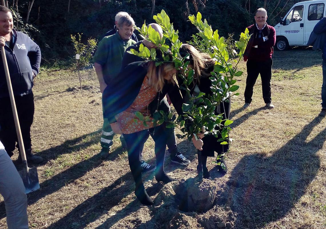 “Boschetto della vita" nel parco urbano di Pozzuoli